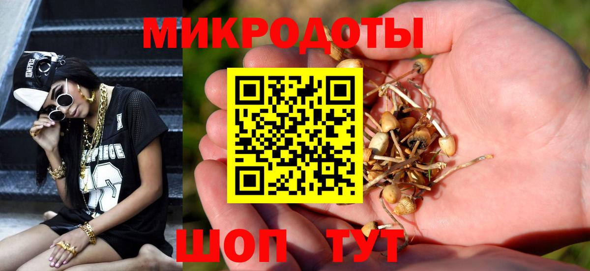 Псилоцибиновые грибы Cubensis Рязань